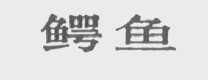 鳄鱼