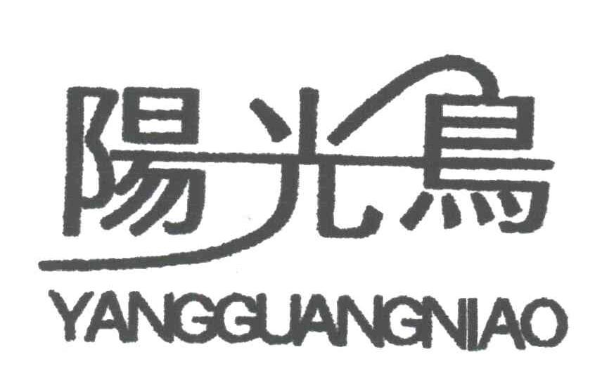 阳光鸟