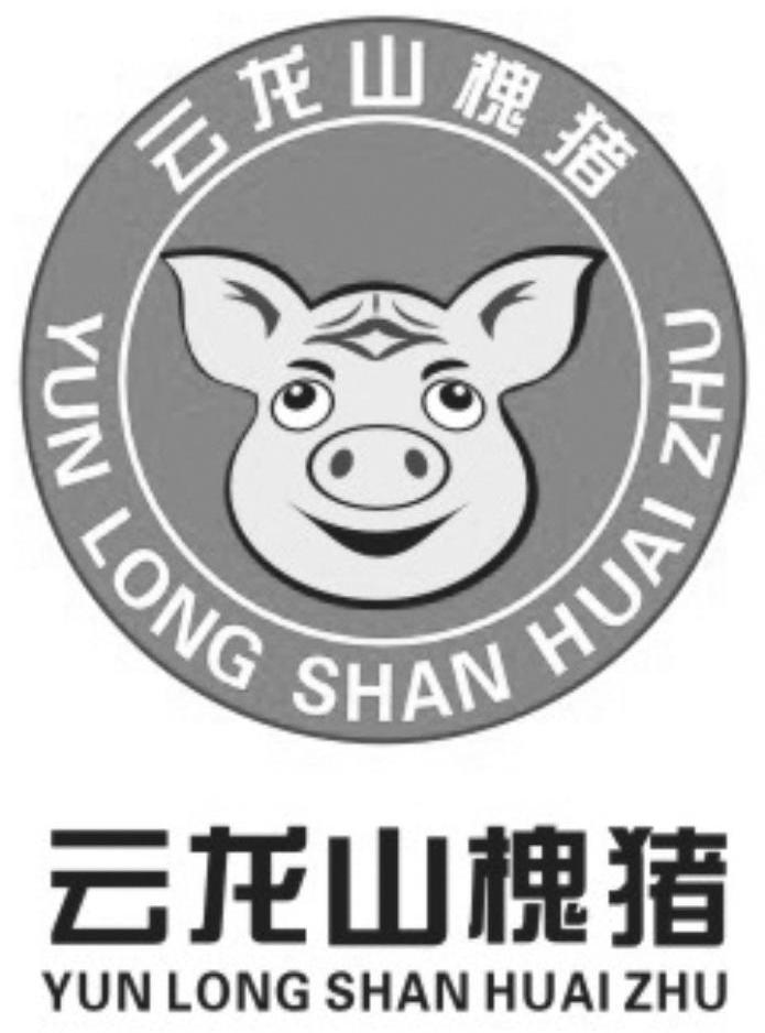 云龙山槐猪