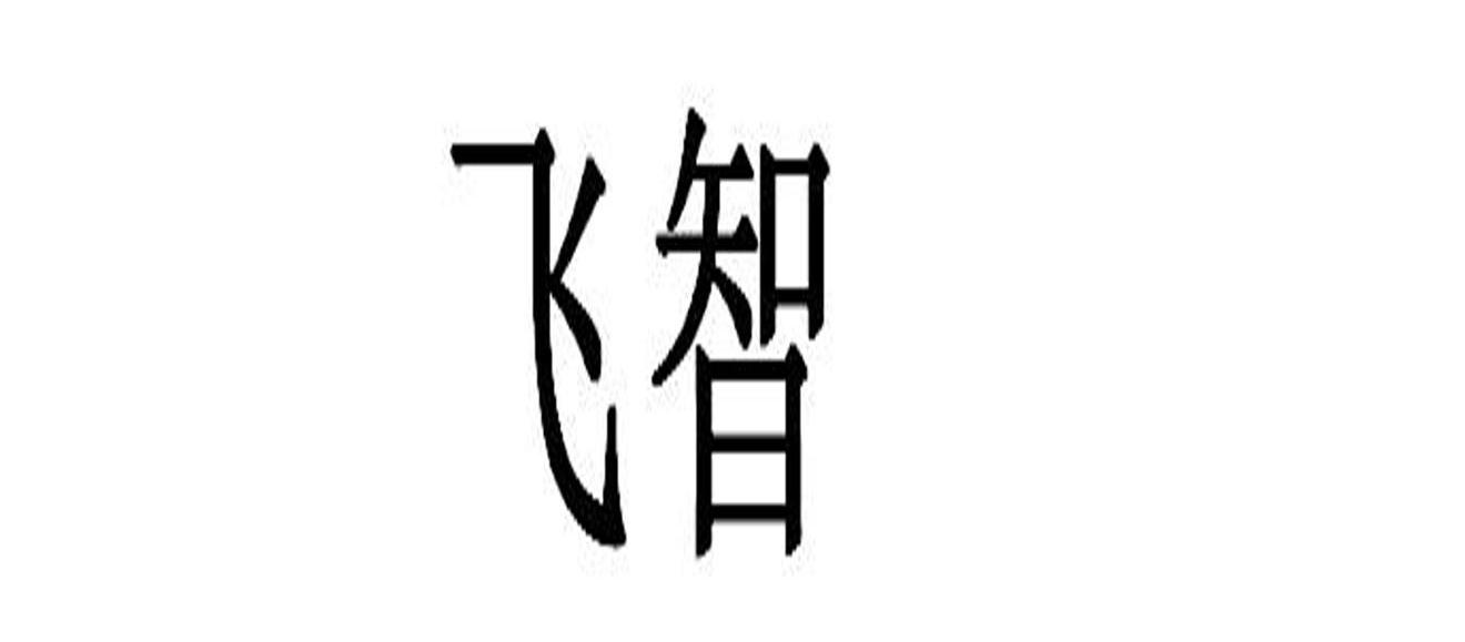 飞智