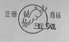 玉兔
