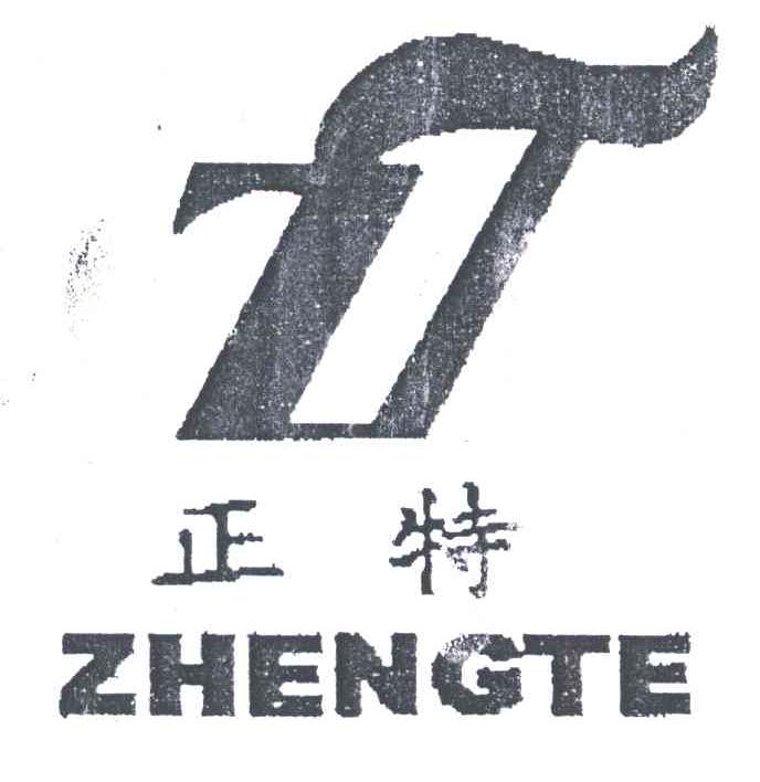 正特