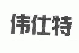 伟仕特