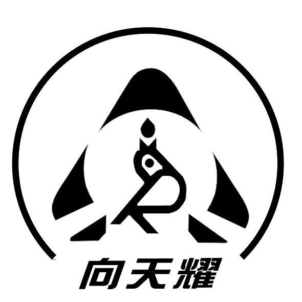 向天耀