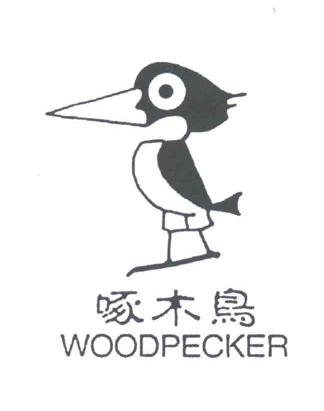 啄木鸟;WOODPECKER