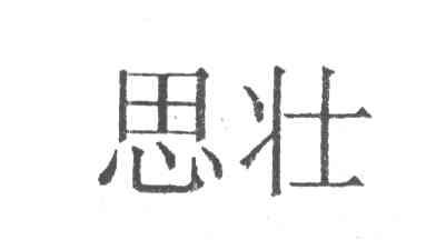 思壮
