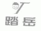 踏岳