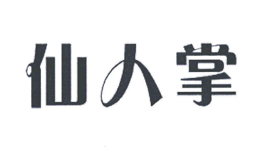 仙人掌
