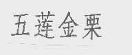 五莲金栗