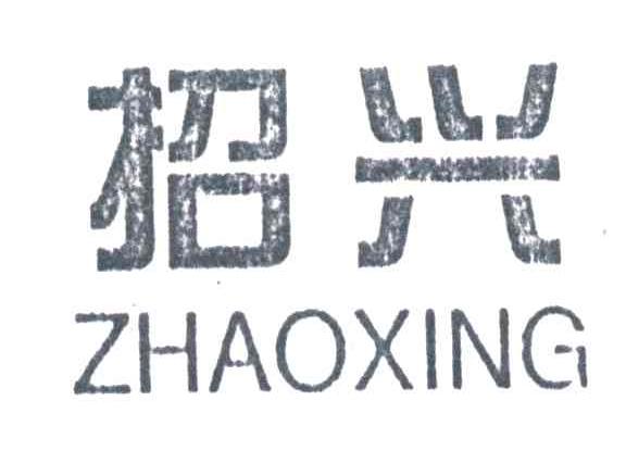 招兴;ZHAO XING