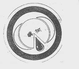 滇桐