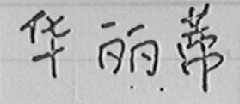 华丽蒂
