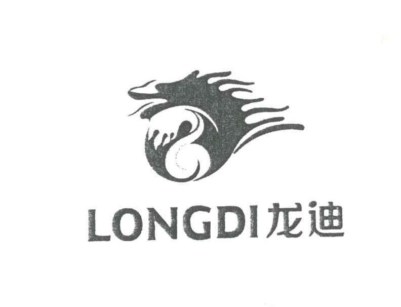 龙迪