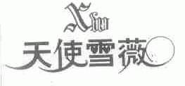 天使雪薇