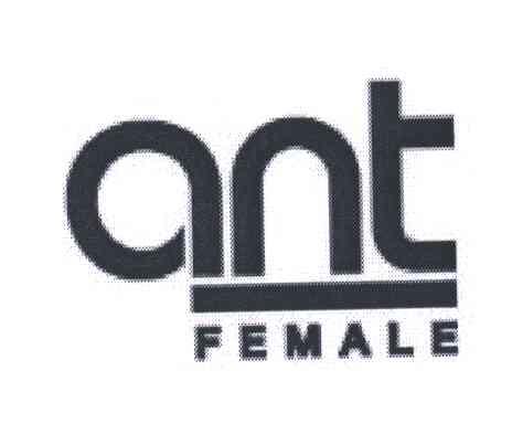 ANT FEMALE