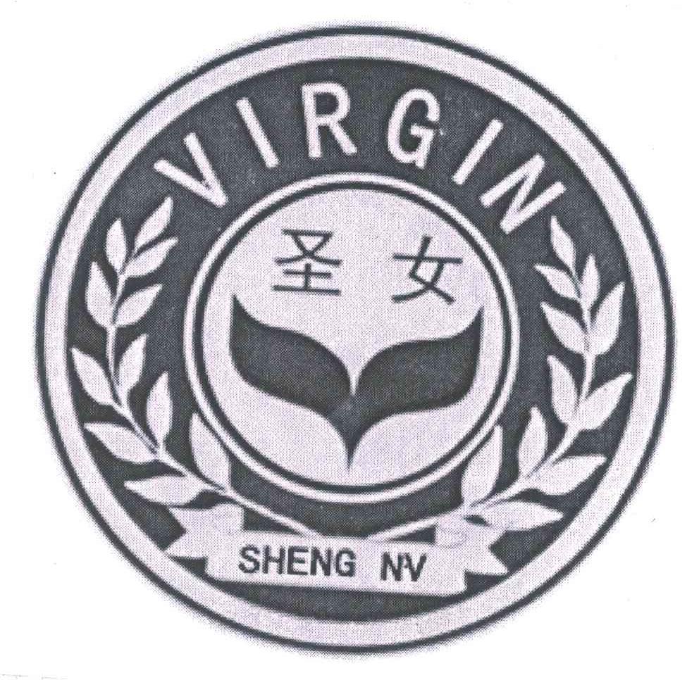 圣女 VIRGIN
