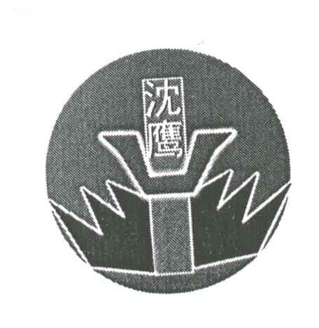 沈鹰