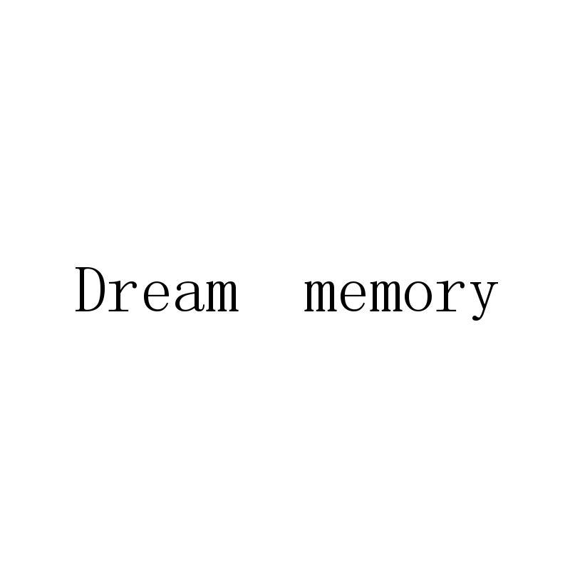 DREAM MEMORY