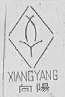向阳