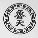 鲁天