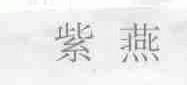 紫燕
