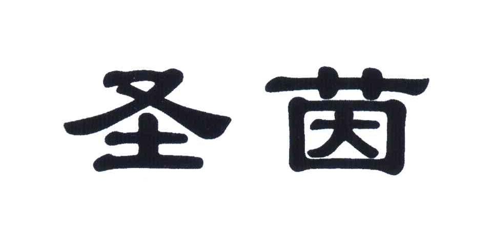 圣茵