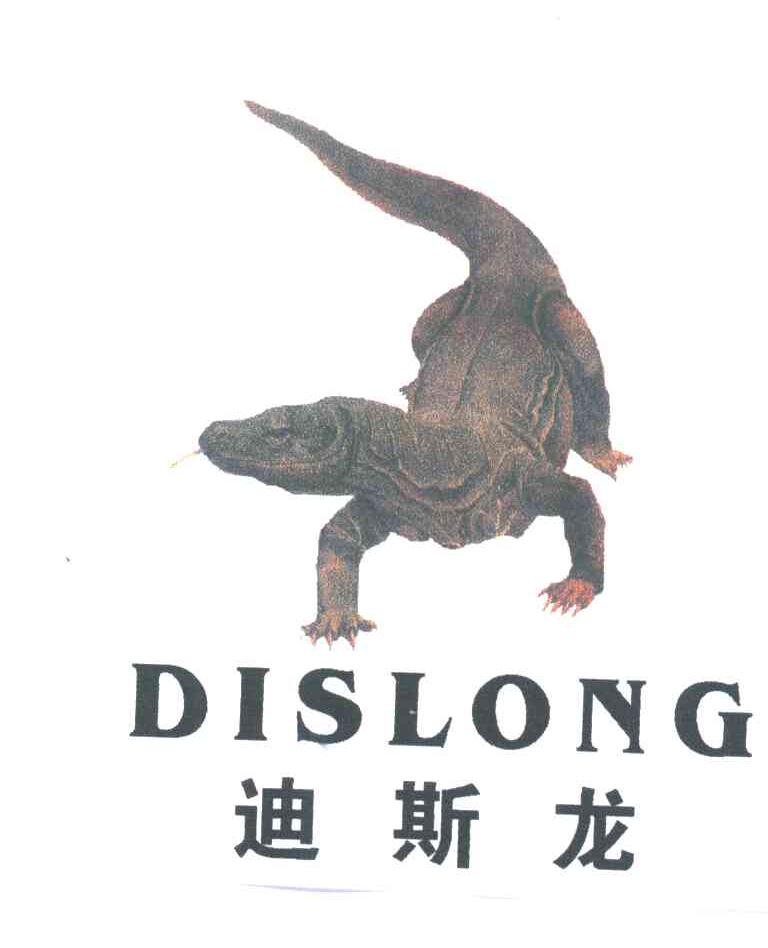 迪斯龙 DISLONG