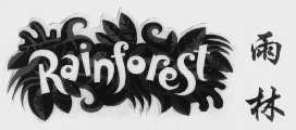 雨林   RAINFOREST