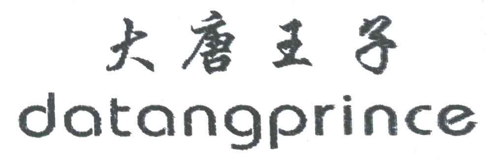 大唐王子DATANGPRINCE