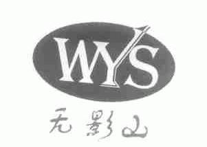 无影山;WYS