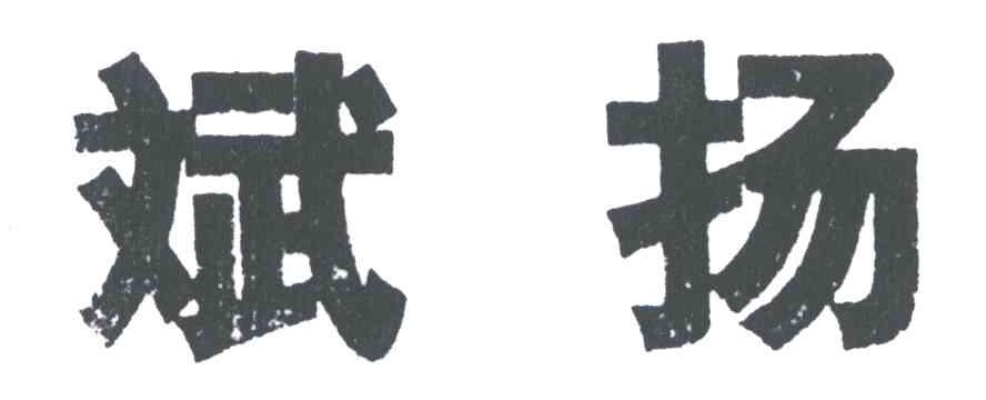 斌扬