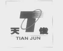 天俊