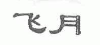 飞月
