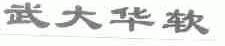 武大华软