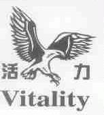 活力;VITALITY