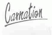 CARNATION