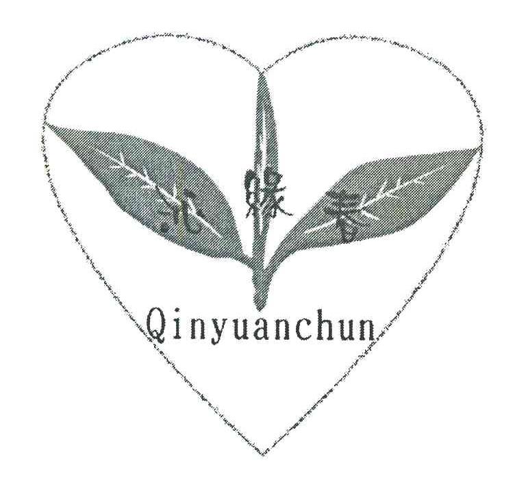 沁缘春