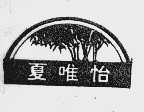 厦唯怡