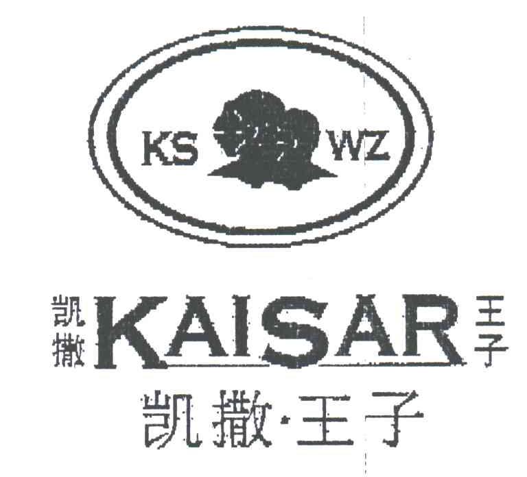 凯撒王子