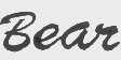 BEAR