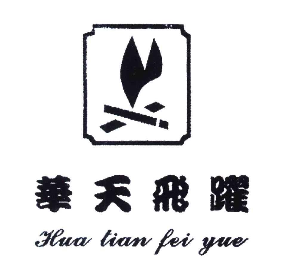 华天飞跃及图形