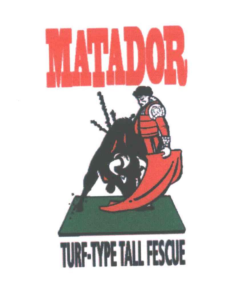 MATADOR TURE-TYPE TALL FESCUE