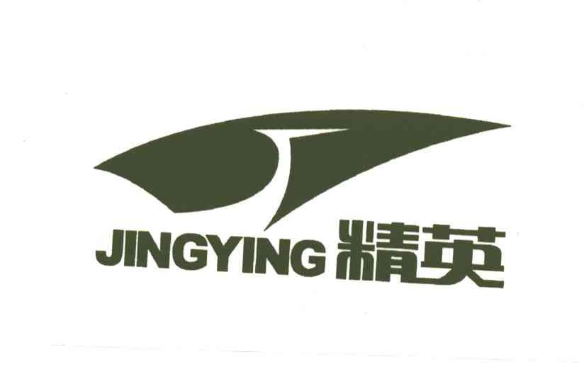 精英