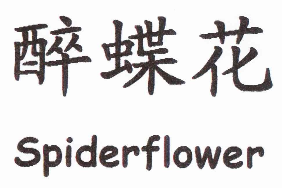 醉蝶花 SPIDERFLOWER