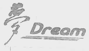 梦   DREAM