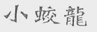 小蛟龙