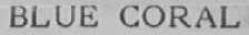 BLUE CORAL