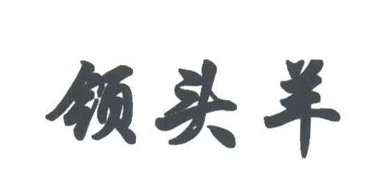 领头羊