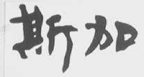 斯加