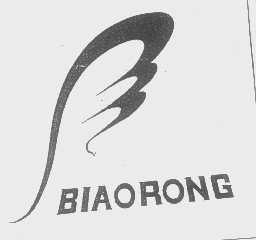 BIAORONG